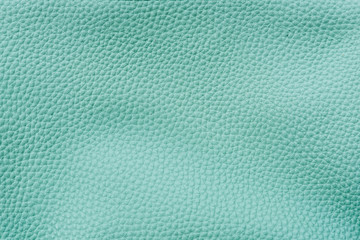 Mint green leather background