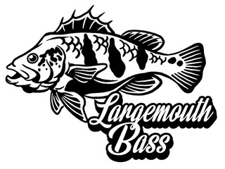 Illustration of a bass with fins, tail and open mouth