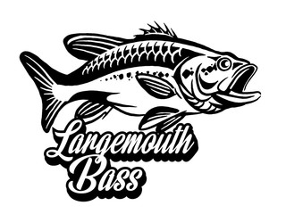 Illustration of a bass with fins, tail and open mouth