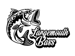 Illustration of a bass with fins, tail and open mouth