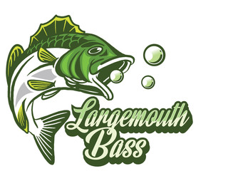 Illustration of a bass with fins, tail and open mouth