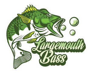 Illustration of a bass with fins, tail and open mouth