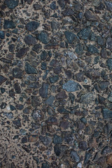 Sea sand with remnants of shells and small pebbles. Background.