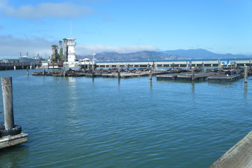 Fototapeta na wymiar Harbour