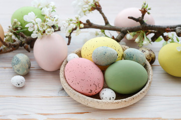 Colorful Easter eggs and blooming apple tree branch