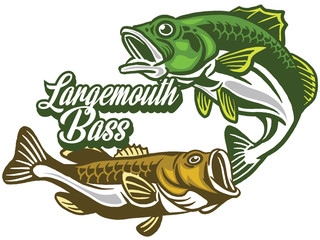 Illustration of a bass with fins, tail and open mouth