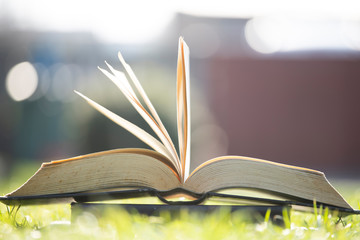 Open book in green grass.