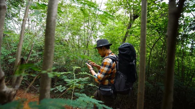man traveler with backpack using smartphone in the natural forest