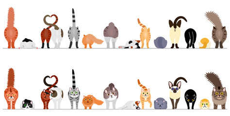 various cute cats border in a row, front view and rear view © Ayumi Onishi