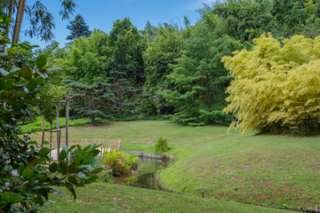 Jardin zen Japonais avec un ruisseau et verdure.