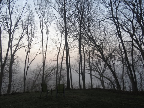foggy river woods morning
