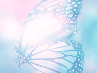 Obraz premium Natural background with natural butterfly