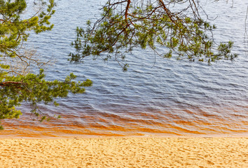 spring landscape waves on water of amber color