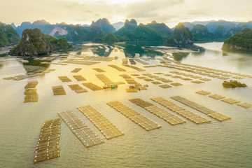 Aerial view fishing village and rock island, Bai Tu Long Bay, Vietnam, Southeast Asia. UNESCO World...