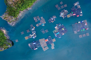 Aerial view fishing village and rock island, Bai Tu Long Bay, Vietnam, Southeast Asia. UNESCO World Heritage Site. Junk boat cruise to Ha Long Bay. Popular landmark, famous destination of Vietnam