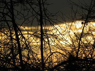 Early morning deck sunrise