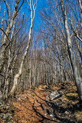 Footpath to the Sip peak, Big Fatra mountains, Slovakia