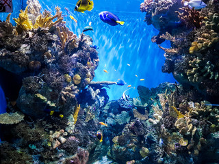 aquarium de barcelone spain