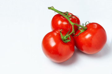 three tomatoes at a twig on white background