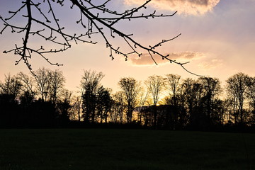 Schöner Sonnenuntergang in Rheinland-Pfalz, Deutschland