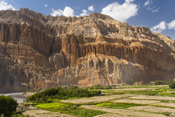 Red cliff and buckwheat paddy in Chuksang village in Upper Mustang region, Himalaya mountain range...