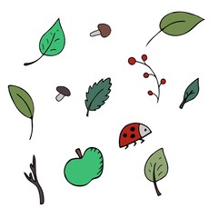 element without background, leaves, twigs, mushrooms, hand-drawn vector color illustration,