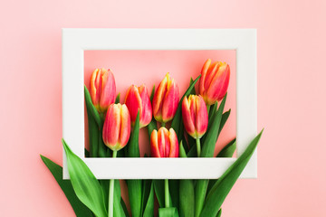 Flat lay with spring tulips in white frame on pink background. Sale concept