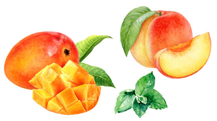 Mango fruit peach mint set watercolor isolated on white background