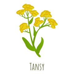 Tansy flower icon. Cartoon of tansy flower vector icon for web design isolated on white background