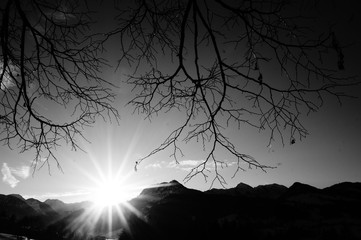 Sonnenaufgang schwarz weiß