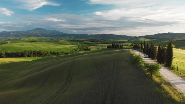 Aerial video in an amazing green landscape, with drone, above farm in a beautiful day.