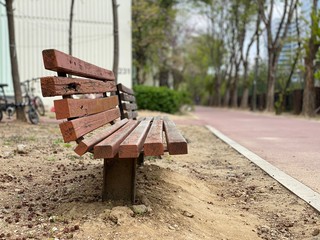 bench in the park