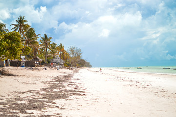 Quiet beach shore and green palms together with beautiful Indian Ocean. Vacation destination for couples and nature lovers. Calm place to spend vacation alone or with loved ones