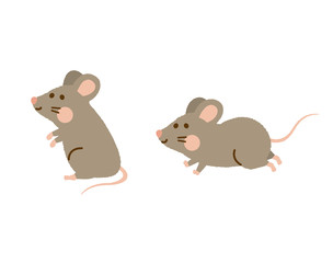 ネズミ