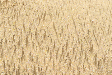 grey sand with a beautiful texture