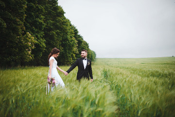Happy newlyweds are walking in nature, in a green wheat field. The groom holds the bride by the hand. Wedding, love and family concept
