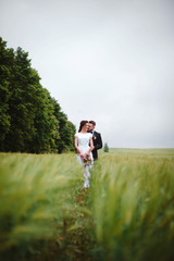 The groom gently hugs the bride. Young couple posing in green wheat field. Happy wedding day