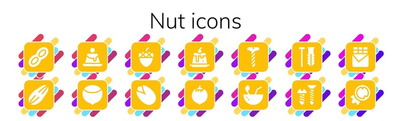 nut icon set