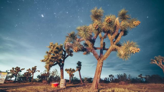 Star time lapse in Joshua Tree California