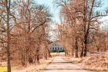 Road to the castle under the trees
