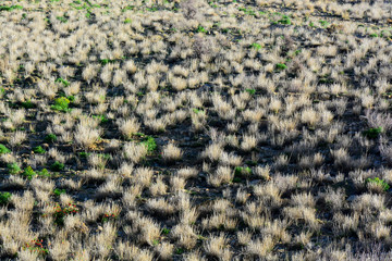 The beautiful slopes of the mountain with the background of desert plants