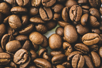 Coffee Beans isolated. Close up