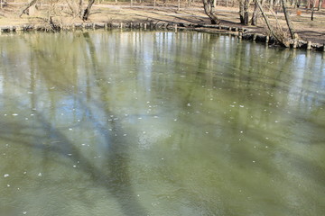 Thin layer of ice on the surface of the lake. Russia.