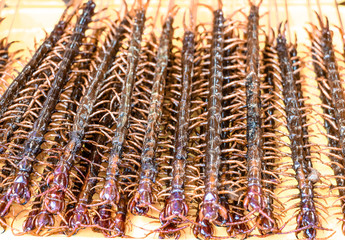Centipede to eat - Beijing, China
