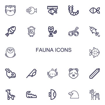 Editable 22 fauna icons for web and mobile