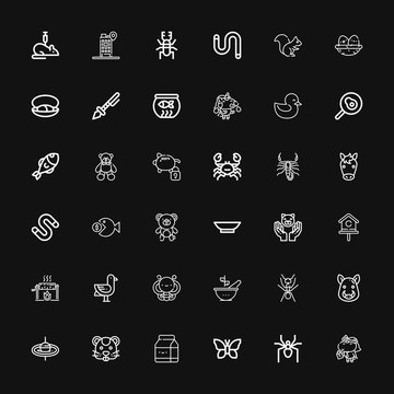 Editable 36 animal icons for web and mobile
