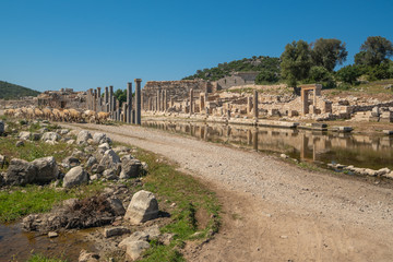 Fototapeta na wymiar Ruins of Patara Ancient city in Turkey
