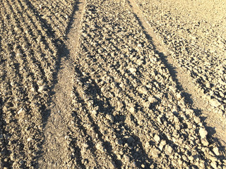 Dirt field brown soil, tractor lines, farm environment
