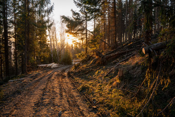 forest road in the mountains and sun over it