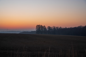 sunrise on a field ready for seedlings with trees in the background